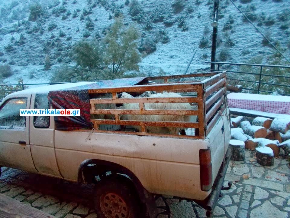 Τα πρώτα χιόνια έπεσαν στα Τρίκαλα! [photos] - Φωτογραφία 5