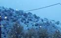 Τα πρώτα χιόνια έπεσαν στα Τρίκαλα! [photos] - Φωτογραφία 1