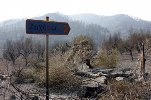 Δυτική Ελλάδα: Ξεμπλόκαρε η χρηματοδότηση έργων αποκατάστασης από τις πυρκαγιές του 2007 - Φωτογραφία 1