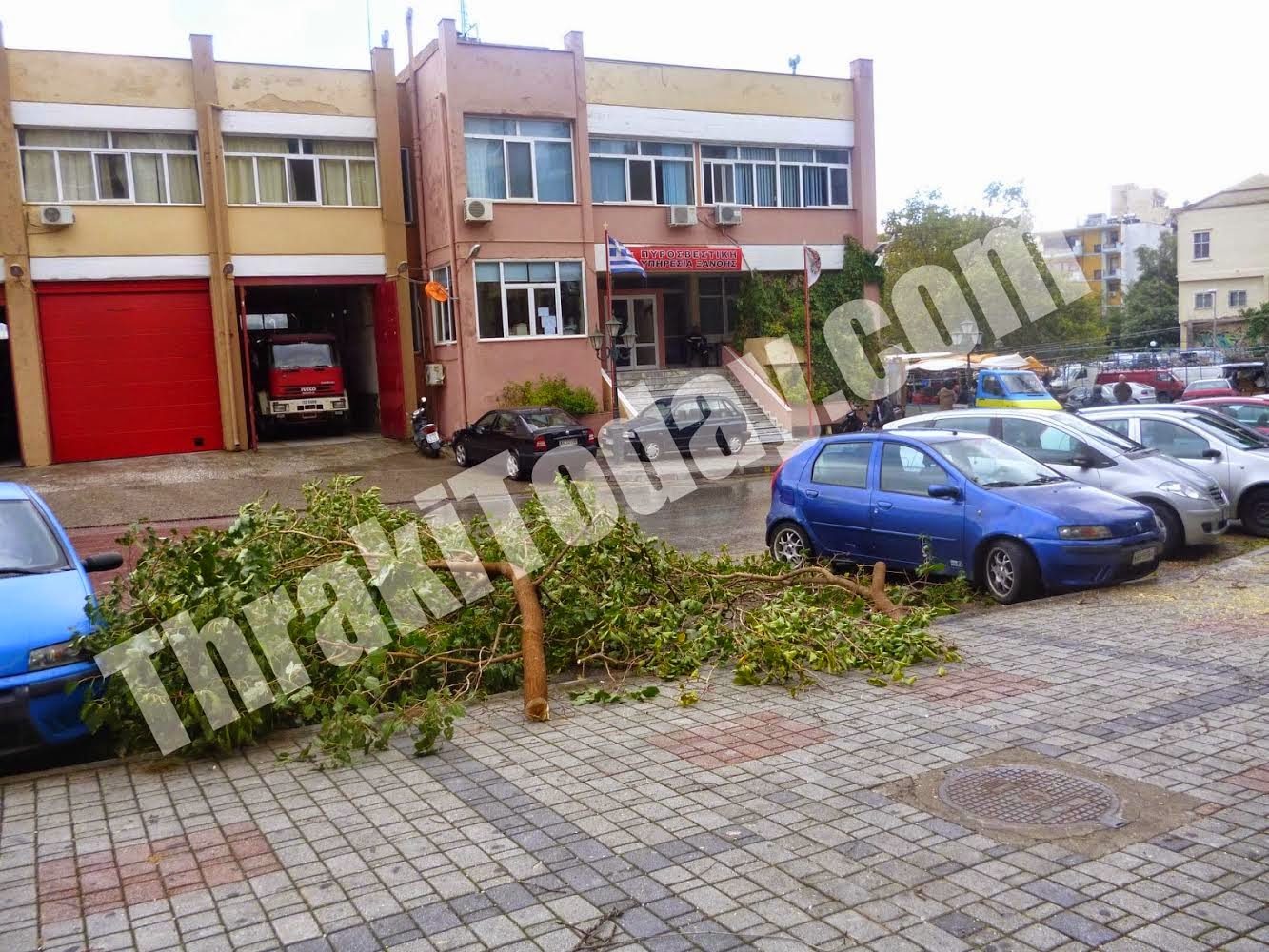 Πτώση δέντρου στην Ξάνθη μπροστά από την Πυροσβεστική! [video] - Φωτογραφία 4