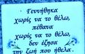 ΝΕΚΡΟΙ ΣΤΑ ΑΖΗΤΗΤΑ ΛΟΓΩ ΟΙΚΟΝΟΜΙΚΗΣ ΚΡΙΣΗΣ - Φωτογραφία 2