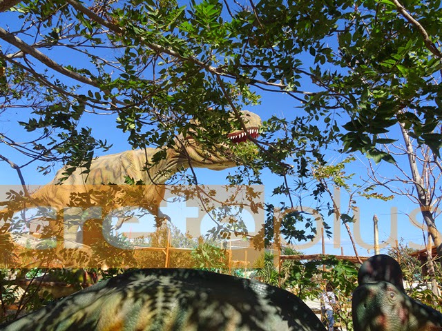 Δεινόσαυρος έκανε την εμφάνιση του σε...πάρκο στο Ηράκλειο - Ένα ταξίδι στον κόσμο του Dinosauria [video + photos] - Φωτογραφία 5