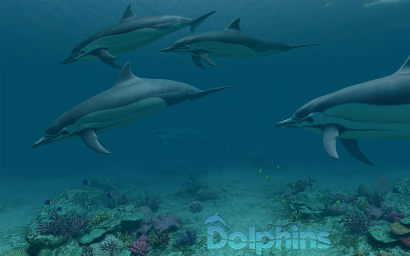 Dolphins 3D: Ένα wallpaper για να εντυπωσιάσετε  (MAC) - Φωτογραφία 3