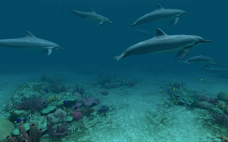 Dolphins 3D: Ένα wallpaper για να εντυπωσιάσετε  (MAC) - Φωτογραφία 6
