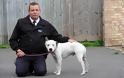 Απίστευτη αλητεία «ανθρώπου»: Τόξευσε σκυλί με βαλλίστρα... [photos] - Φωτογραφία 6