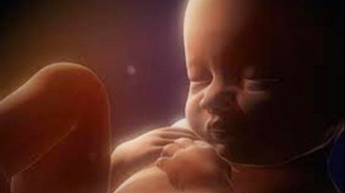 Εντυπωσιακό βίντεο δείχνει το έμβρυο από τη σύλληψη μέχρι τη γέννηση...[video] - Φωτογραφία 1