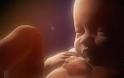 Εντυπωσιακό βίντεο δείχνει το έμβρυο από τη σύλληψη μέχρι τη γέννηση...[video]