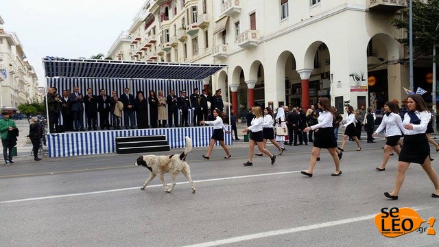 Εικόνες ΝΤΡΟΠΗΣ για την συγκυβέρνηση της συμφοράς που φοβάται τους πολίτες...[photos] - Φωτογραφία 3