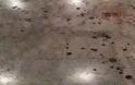 Κηλίδες αίματος στην είσοδο του κτιρίου που βρέθηκε νεκρός ο Θοδωρής Παπαναστασίου [photos]