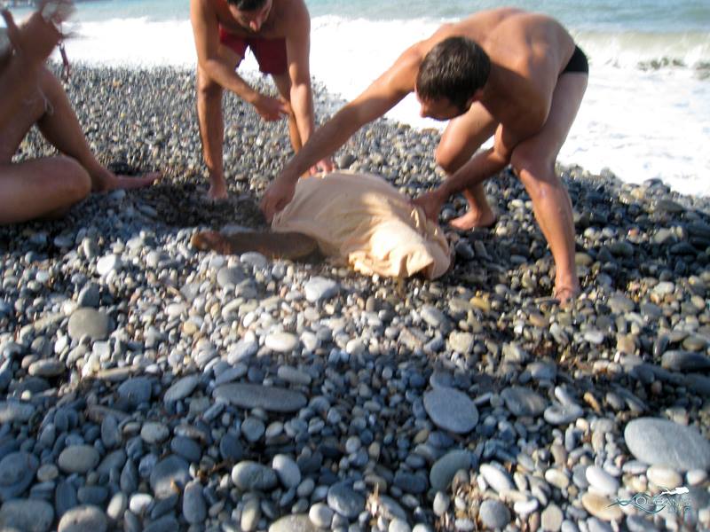 Την έσωσαν από τα μανιασμένα κύματα σε παραλία των Χανίων [photos] - Φωτογραφία 2