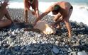 Την έσωσαν από τα μανιασμένα κύματα σε παραλία των Χανίων [photos] - Φωτογραφία 2