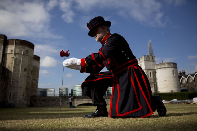 888.246 παπαρούνες, μοιάζουν με αίμα που χύνεται στον Πύργο του Λονδίνου - Φωτογραφία 3
