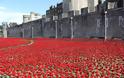 888.246 παπαρούνες, μοιάζουν με αίμα που χύνεται στον Πύργο του Λονδίνου - Φωτογραφία 4