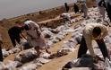 Ιράκ: Βρήκαν μαζικό τάφο με 150 σορούς μελών σουνιτικής φυλής