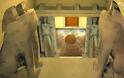 Νέο υπέροχο 3D βίντεο της Αμφίπολης: Συγκρίνεται με τον Παρθενώνα και το Ταζ Μαχάλ [video]