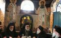 5501 - Επίσκεψις του Πατριάρχου Αντιοχείας στην Ιερά Μονή Βατοπαιδίου (πλούσιο φωτογραφικό υλικό) - Φωτογραφία 19