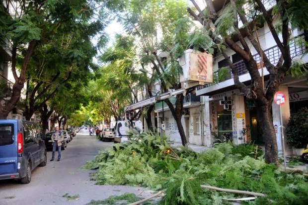 Πάτρα: Κλαδεύτηκαν επιτέλους τα δένδρα στην οδό Κωνσταντινουπόλεως - Φωτογραφία 3
