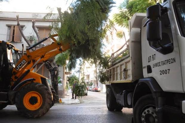 Πάτρα: Κλαδεύτηκαν επιτέλους τα δένδρα στην οδό Κωνσταντινουπόλεως - Φωτογραφία 5