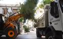 Πάτρα: Κλαδεύτηκαν επιτέλους τα δένδρα στην οδό Κωνσταντινουπόλεως - Φωτογραφία 5
