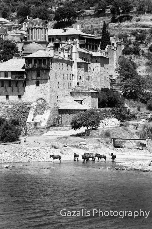 5529 - Το Άγιο Όρος με τη ματιά του φωτογράφου Σάκη Γάζαλη - Φωτογραφία 2