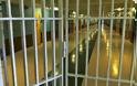 Στη φυλακή η 20χρονη για τη δολοφονία ηλικιωμένου στις Σέρρες