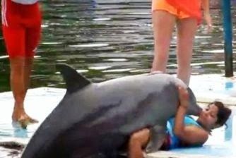 ΑΠΙΣΤΕΥΤΟ!  - Δείτε τι κάνει το δελφίνι στην κοπέλα! - Φωτογραφία 1