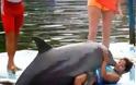 ΑΠΙΣΤΕΥΤΟ!  - Δείτε τι κάνει το δελφίνι στην κοπέλα!