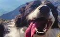 ΑΠΙΣΤΕΥΤΟ: Σκύλος ξαναβρήκε τον ιδιοκτήτη του χάρη σε 6.000 χρήστες των social media