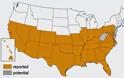 Νέα επιδημία στις ΗΠΑ μετά τον Εμπολα: Chagas ή «σιωπηλός δολοφόνος» - Φωτογραφία 3