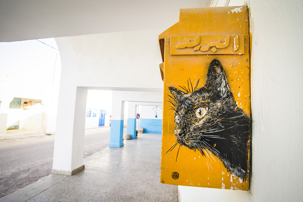 Ένα νησί... έργο τέχνης...Δείτε τί συμβαίνει στην Τυνησία! [photos] - Φωτογραφία 6