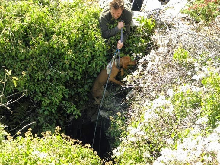 Επιχείρηση διάσωσης σκύλων,από σπηλαιοβάραθρο στο Ζαγόρι! - Φωτογραφία 5