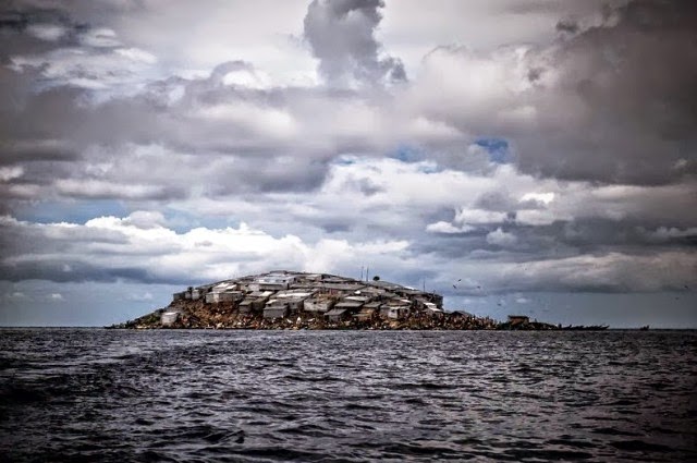 Ο πιο πυκνοκατοικημένος βράχος στον κόσμο [εικόνες] - Φωτογραφία 10