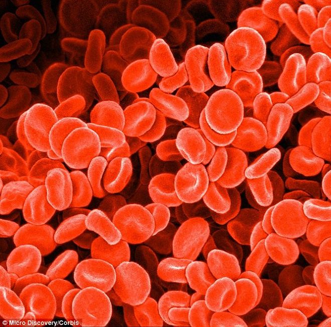 Ανακαλύφθηκε η χημική ένωση που δίνει οσμή στο αίμα - Φωτογραφία 2