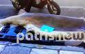 Γιγαντιαία ψαριά στην Ηλεία - Έβγαλαν γαλέο 310 κιλών