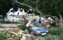 Δέντρο που βρίσκεται δίπλα από σχολείο και εκκλησία (!) ξεριζώθηκε και έπεσε πάνω σε αυτοκίνητο στη Ρόδο [photos] - Φωτογραφία 6