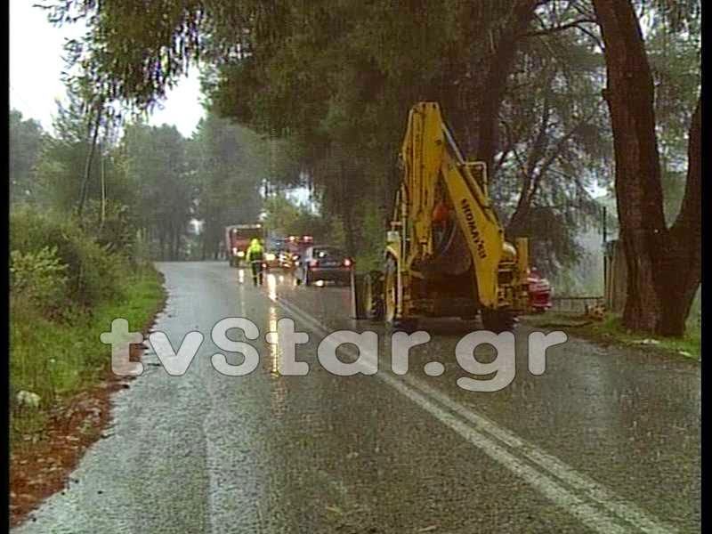 Παραλίγο τραγωδία όταν πεύκο έπεσε πάνω σε αυτοκίνητο - Διακόπηκε η κυκλοφορία των οχημάτων [photos + video] - Φωτογραφία 4