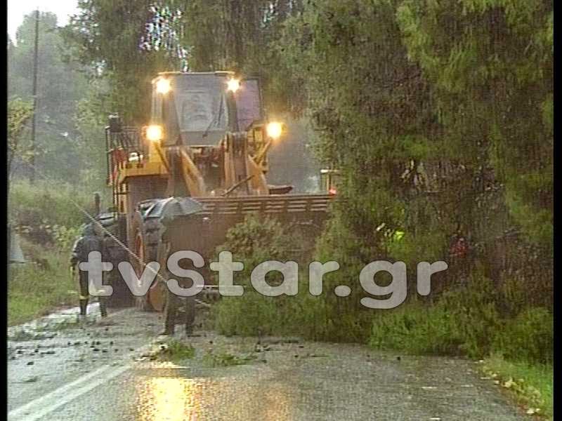 Παραλίγο τραγωδία όταν πεύκο έπεσε πάνω σε αυτοκίνητο - Διακόπηκε η κυκλοφορία των οχημάτων [photos + video] - Φωτογραφία 7