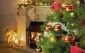 Πράσινο φως για να κοπούν 151.728 χριστουγεννιάτικα δέντρα σε όλη την Ελλάδα