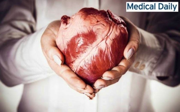 Αναρωτηθήκατε ποτέ γιατί ΔΕΝ εμφανίζουμε καρκίνο στην καρδιά; - Φωτογραφία 1