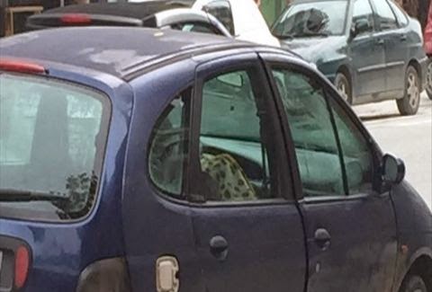 ΜΥΣΤΗΡΙΟ στα Τρίκαλα! Ζευγάρι κοιμόταν μέσα σε αυτοκίνητο και ΞΑΦΝΙΚΑ... εξαφανίστηκε! - Φωτογραφία 1