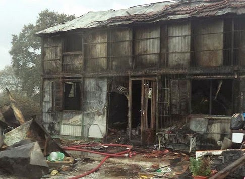 Στις φλόγες διώροφη κατοικία και πολύωρη αγωνιώδης αναζήτηση Τρικαλινής - Φωτογραφία 1
