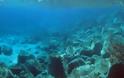 ΔΗΛΟΣ: Απίστευτα αρχαιολογικά ευρήματα στον βυθό! Μια... Πομπηία κάτω από το νερό! [photos] - Φωτογραφία 2