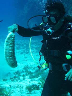 Τα πιο παράξενα πλάσματα που έχουν βρεθεί στην θάλασσα σε ανατριχιαστικές φωτογραφίες! - Φωτογραφία 15