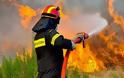 Συνελήφθη 49χρονος κυνηγός για την πυρκαγιά στο Λασίθι