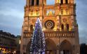 Ένα χριστουγεννιάτικο δέντρο δώρο στο Παρίσι από τον Πούτιν