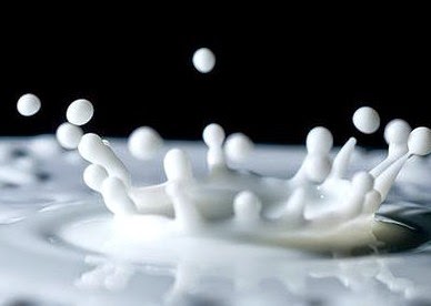 Είναι απαραίτητο στους ενήλικες το γάλα; - Φωτογραφία 1