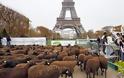 Κτηνοτρόφοι διαδήλωσαν με τα πρόβατά τους στον Πύργο του Άιφελ - Φωτογραφία 2
