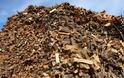 Άλλοι 200 τόνοι παράνομης ξυλείας στον Βάλτο