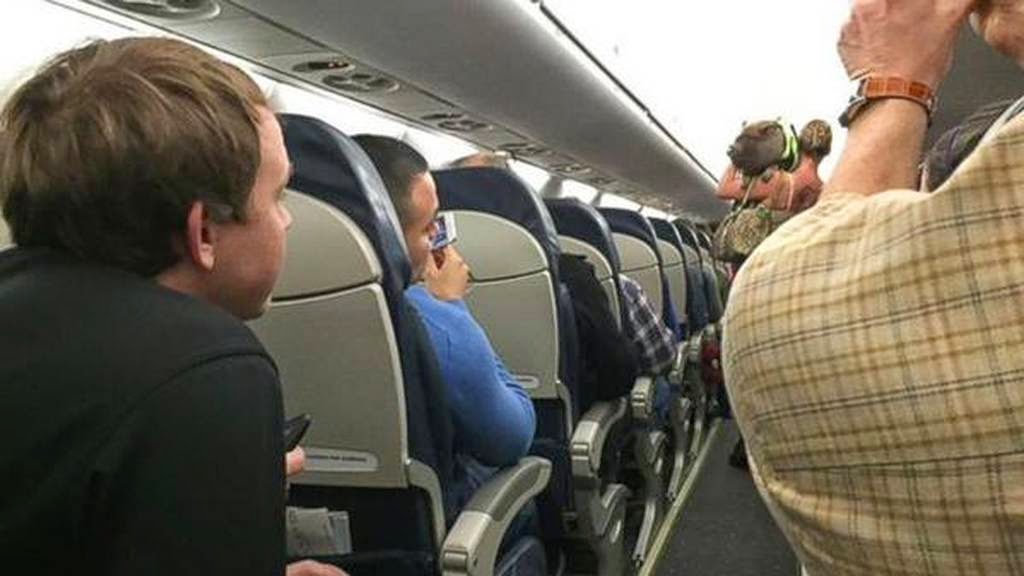 Την έδιωξαν από αεροπλάνο γιατί είχε ένα... γουρούνι [photos] - Φωτογραφία 2