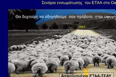 ΕΤΑΑ-Τομέας Υγειονομικών- ΤΣΑΥ Προοπτική και Μέλλον